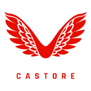 Castore Logo PNG Vector