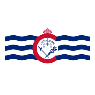 Cincinnati Flag Logo PNG Vector