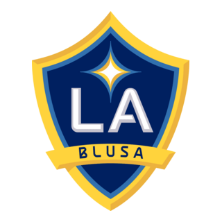 Club La Blusa de Cruz del Eje Córdoba Logo PNG Vector