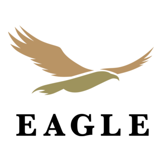 Eagle Logo PNG Vector