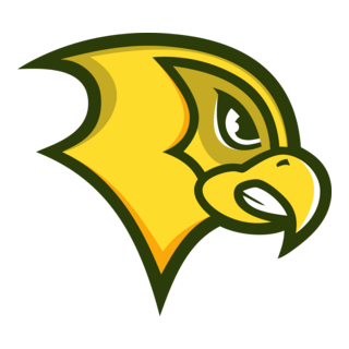 Golden Falcons Logo PNG Vector