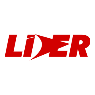 GRUPO LIDER Logo PNG Vector