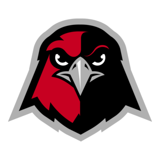 Holy Names Hawks Logo PNG Vector