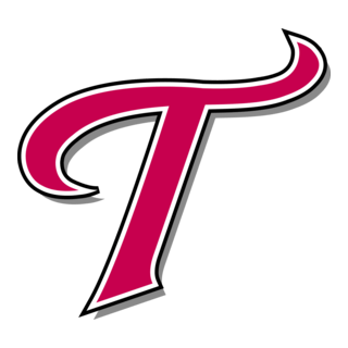 LG Twins Logo PNG Vector