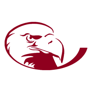 Lock Haven Bald Eagles Logo PNG Vector
