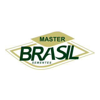 MASTER BRASIL Logo PNG Vector