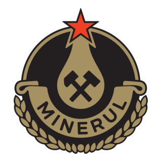 Minerul Petroșani (1950's) Logo PNG Vector