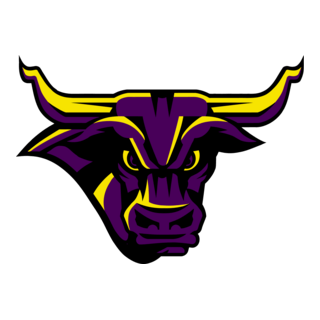 Minnesota State Mavericks Logo PNG Vector