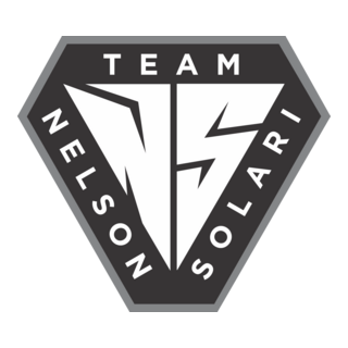 Nelson Solari Logo PNG Vector