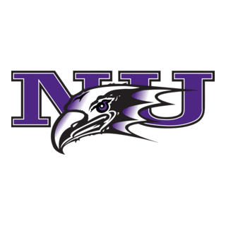 Niagara Purple Eagles Logo PNG Vector