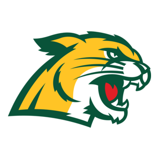 Northern Michigan Wildcats Logo PNG Vector
