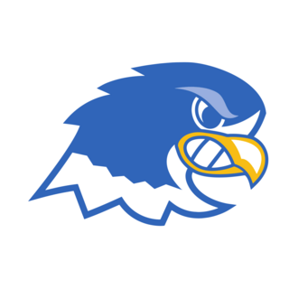 Notre Dame Falcons Logo PNG Vector