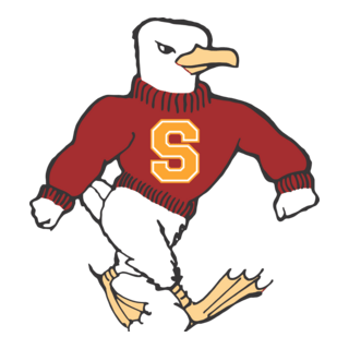 Salisbury Logo PNG Vector