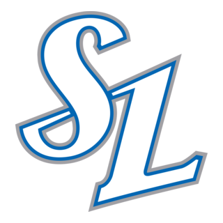 Samsung Lions Logo PNG Vector