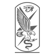 Egyptian General Intelligence Service Logo PNG Vector