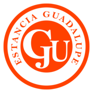 Estacia Guadalupe Minas Córdoba Logo PNG Vector