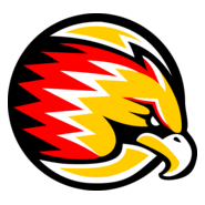 FALCÕES Logo PNG Vector