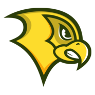 Golden Falcons Logo PNG Vector