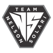 Nelson Solari Logo PNG Vector