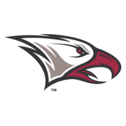 North Carolina Central Eagles Logo PNG Vector