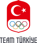 TeamTürkiye Logo PNG Vector