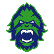 Vancouver Titans Logo PNG Vector