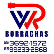 wr borrachas Logo PNG Vector