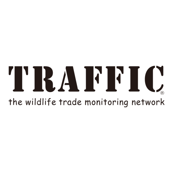 Traffic International Logo PNG Vector