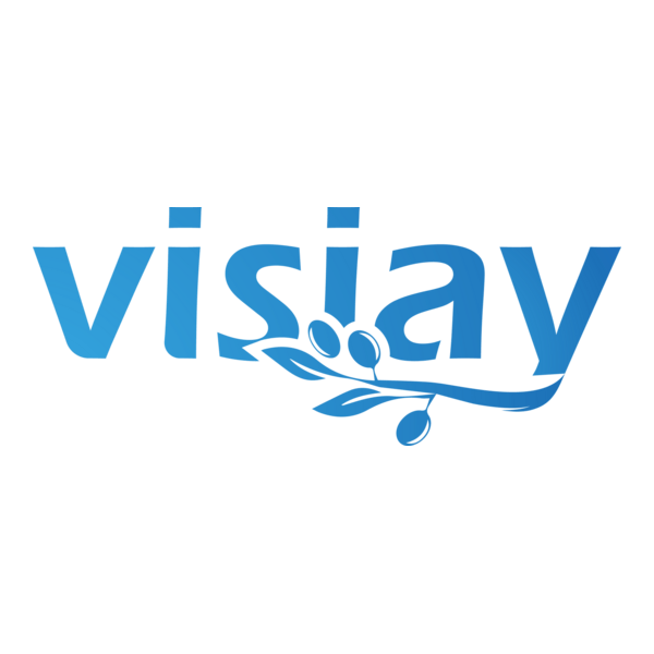 Visiay Logo PNG Vector