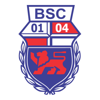 Bonner SC Logo PNG Vector