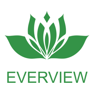 everview Logo PNG Vector