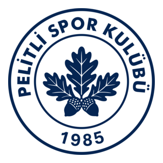 Pelitlispor Logo PNG Vector