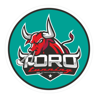 toro tunning Logo PNG Vector