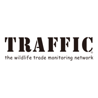 Traffic International Logo PNG Vector