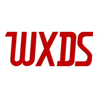 WXDS 2019 Logo PNG Vector