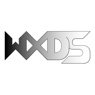 WXDS Logo PNG Vector