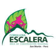 CORDILLERA ESCALERA Logo PNG Vector