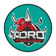 toro tunning Logo PNG Vector