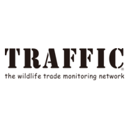 Traffic International Logo PNG Vector