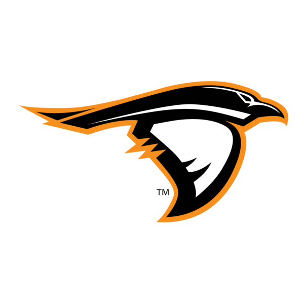 Anderson Ravens Logo PNG Vector