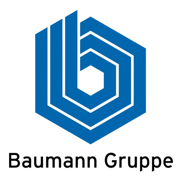 Baumann Gruppe Logo PNG Vector