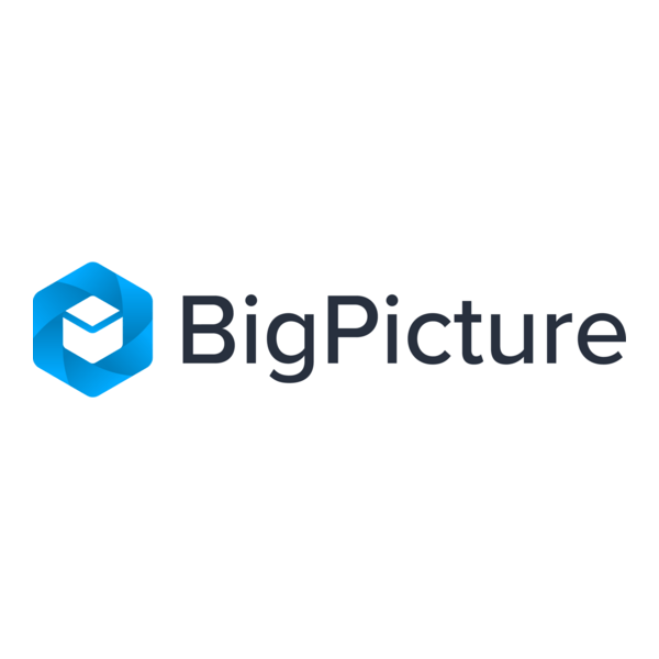 BigPicture Logo PNG Vector
