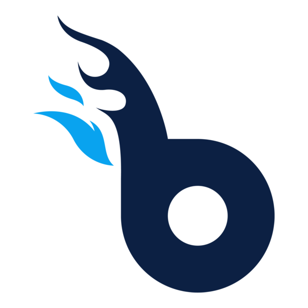 BuildFire Logo PNG Vector