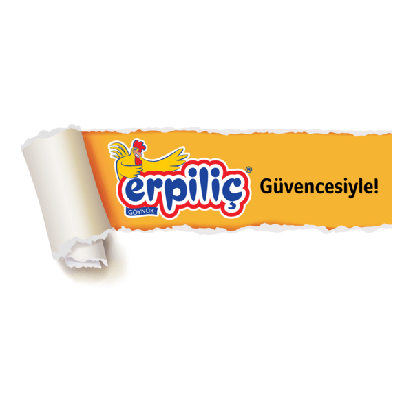 erpiliç güvence etiket Logo PNG Vector