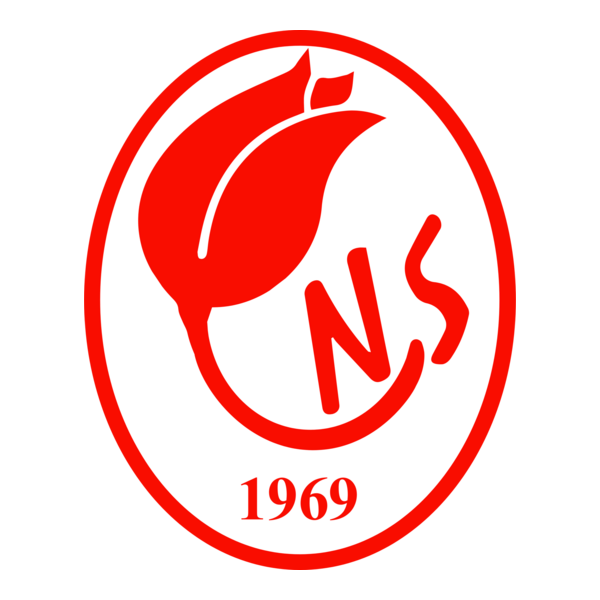 Nevşehirspor Logo PNG Vector