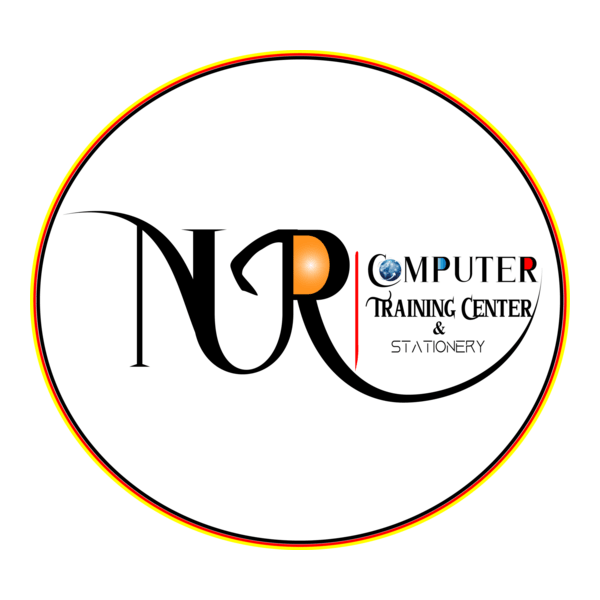 Nur Computer Logo PNG Vector
