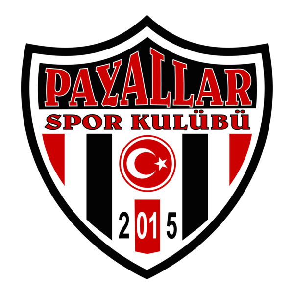 Payallarspor Logo PNG Vector