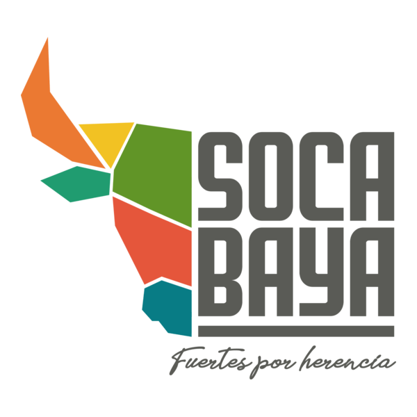 Socabaya Fuertes por Herencia Logo PNG Vector