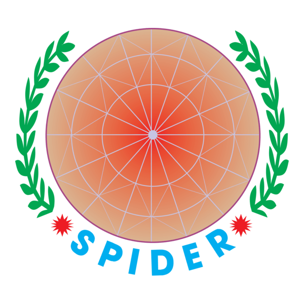Spider Logo PNG Vector