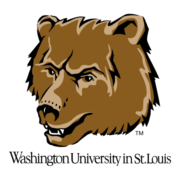Washington Bears Logo PNG Vector